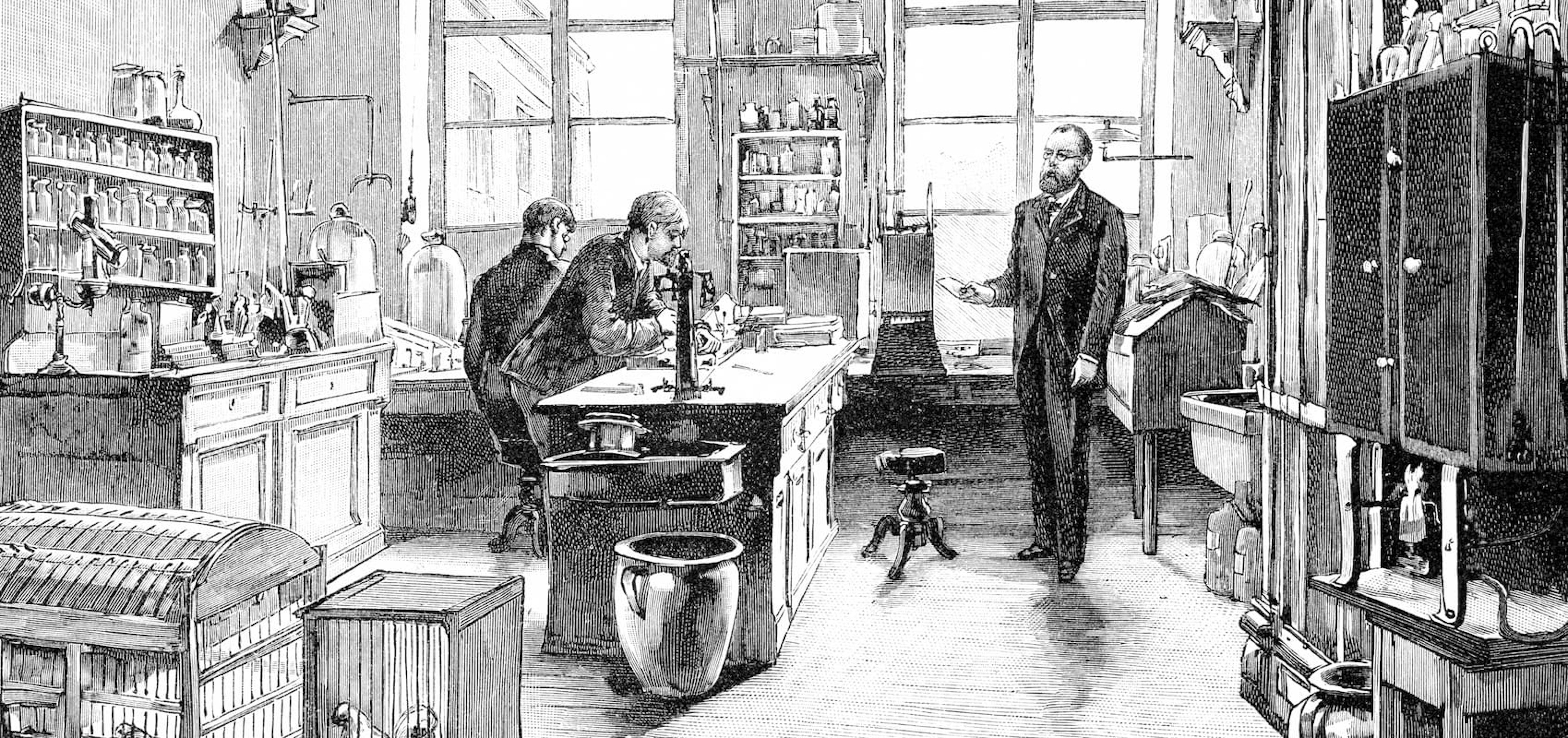 Robert Koch in lab
