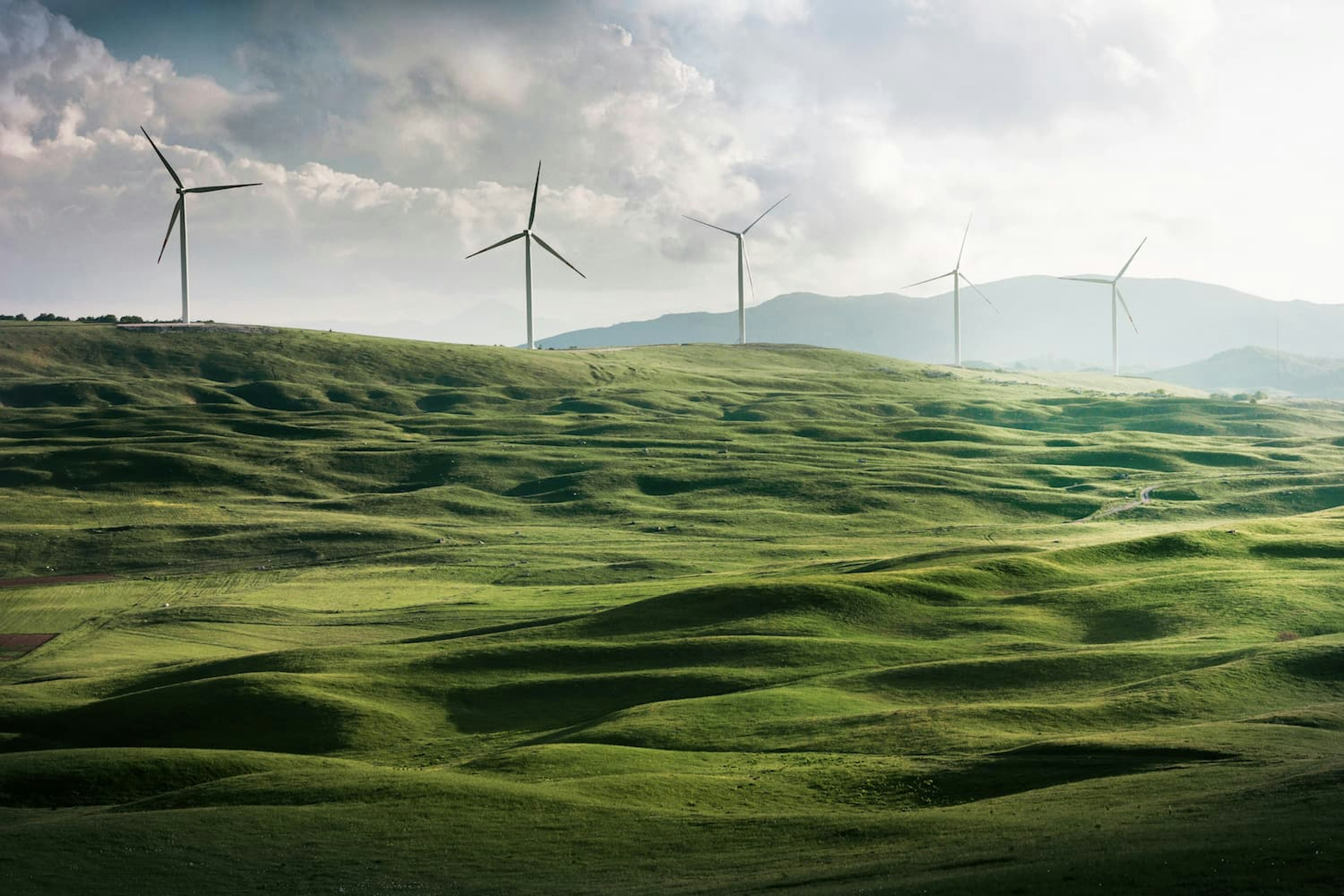 Wind mills in green landscape (1) (1)